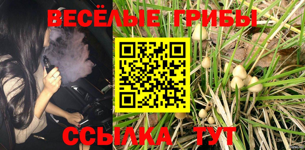 Мытищи  Псилоцибиновые грибы Psilocybe  Вход с VPN  Псилоцибиновые грибы прущие грибы 